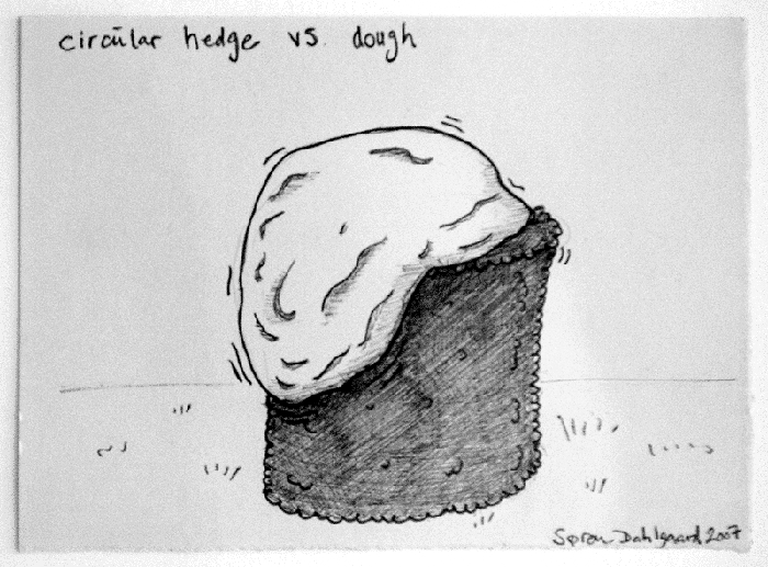 Circular hedge vs. dough copy 2