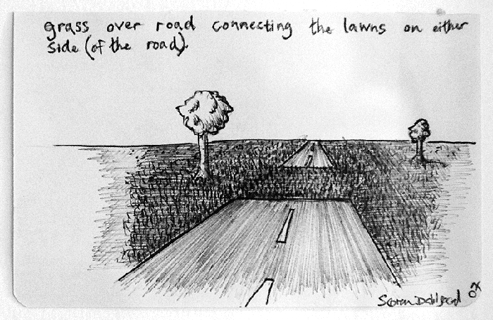 Grass over road connecting the lawns on either side 10x15cm copy